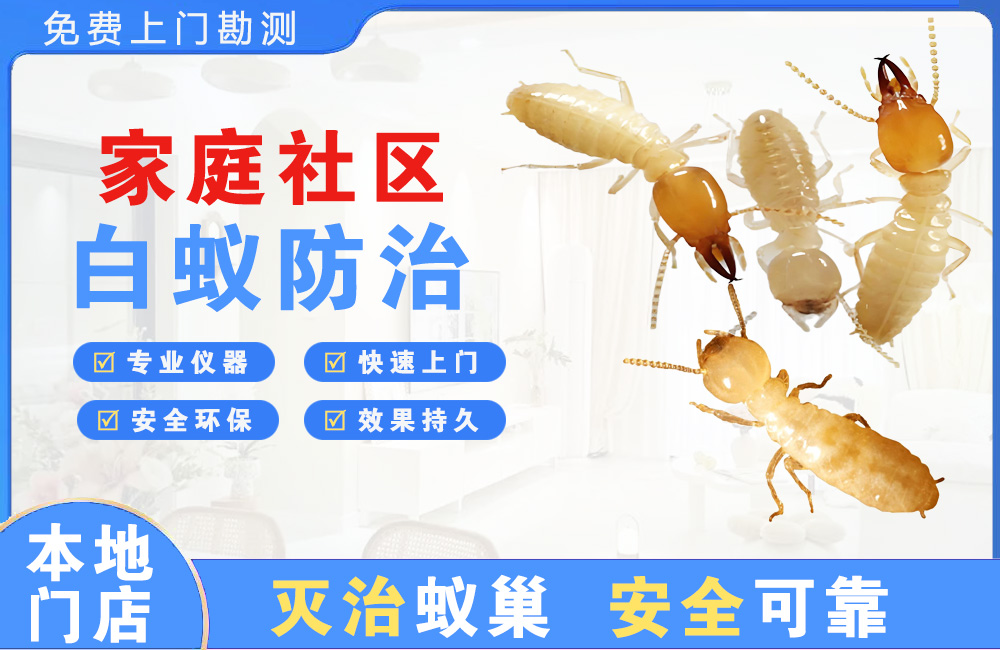达县家庭社区白蚁防治