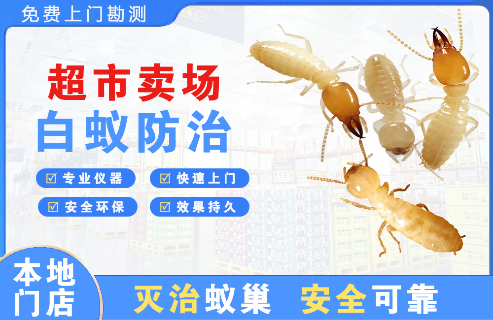 达县超市卖场白蚁防治