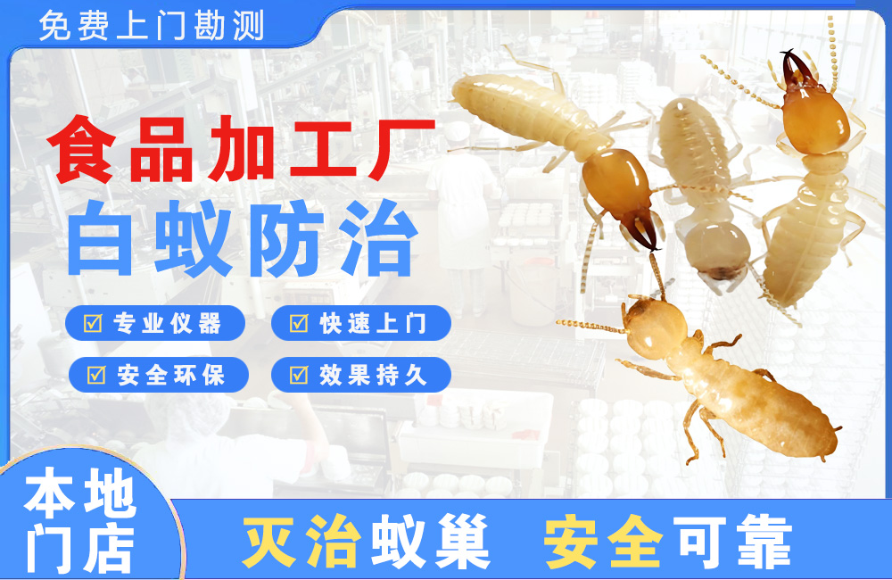 达县食品加工厂白蚁防治