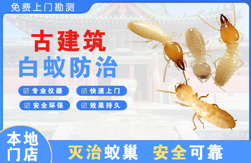达县古建筑白蚁防治