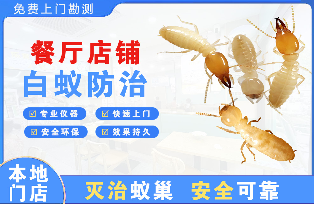 达县餐厅店铺白蚁防治